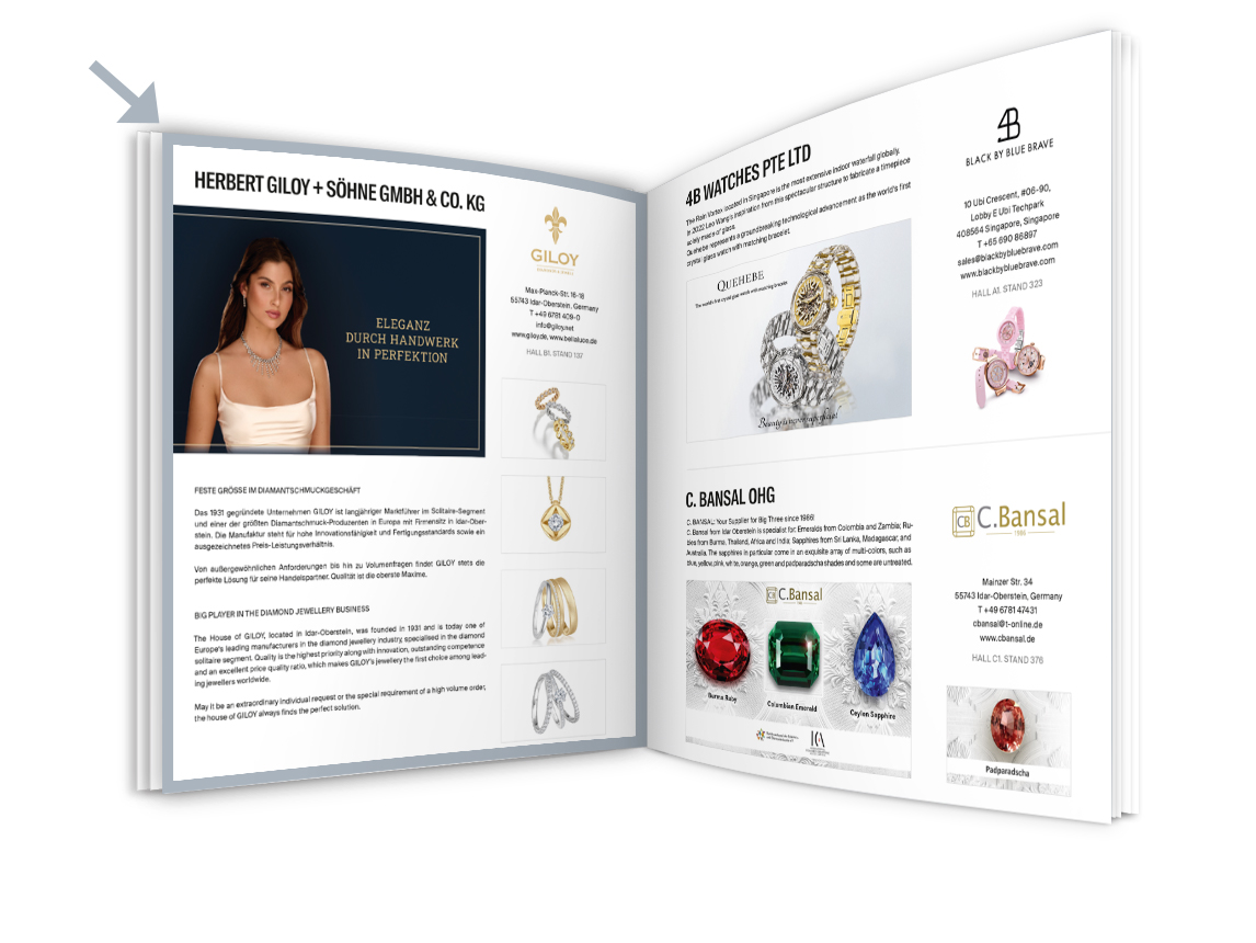 Full page product presentation