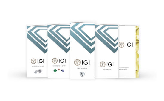 IGI Reports
